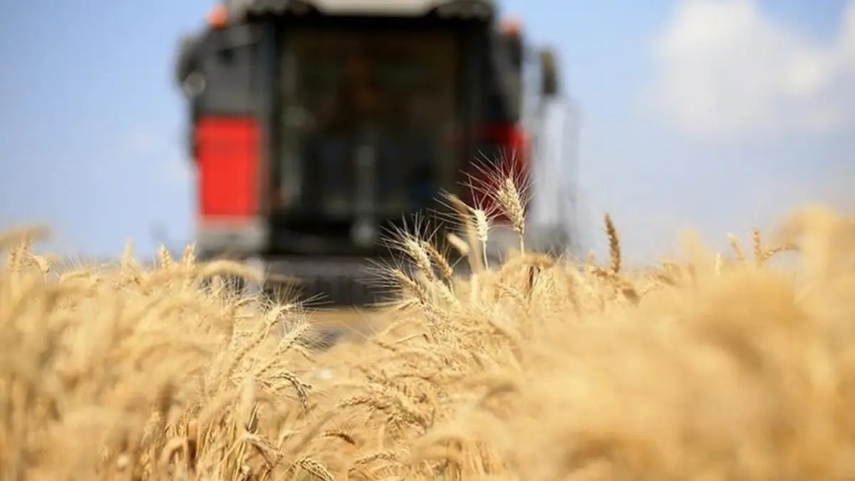 Avrupa Birliği'nin yeni tarife planı deşifre oldu: Bazı gıda maddelerinin ithalatı engellenebilir Avrupa Birliği'nin yeni tarife planı deşifre oldu: Bazı gıda maddelerinin ithalatı engellenebilir