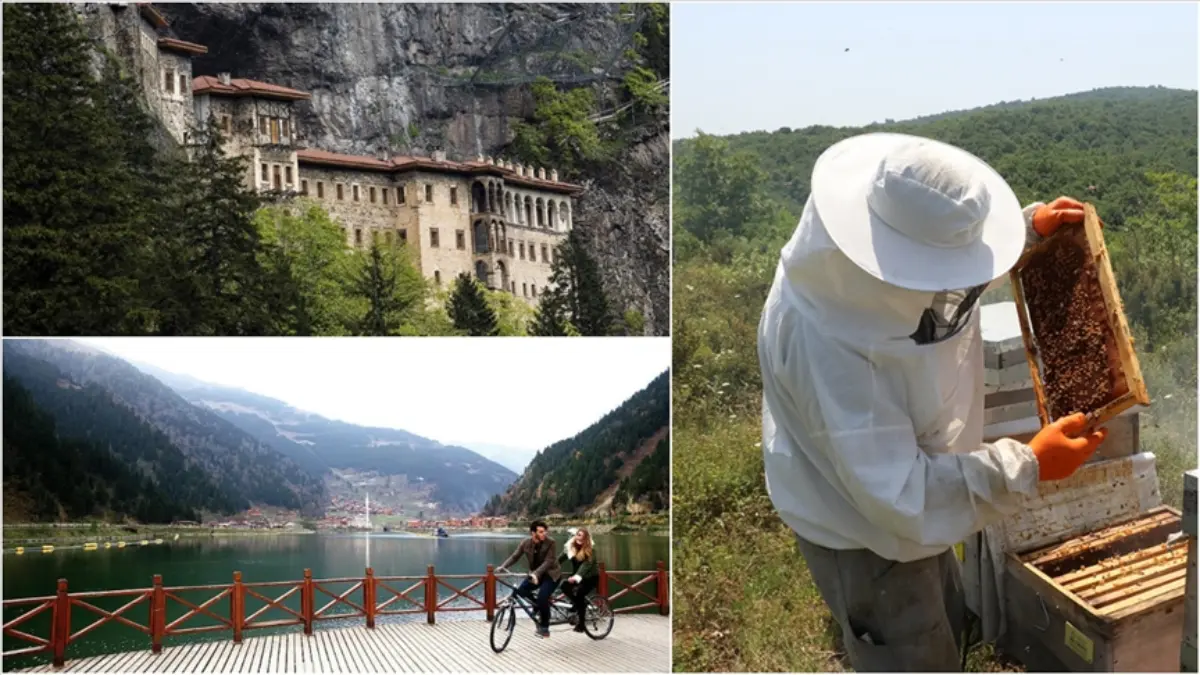 Doğu Karadeniz'de tarım ve turizmde atılım hedefleniyor Doğu Karadeniz'de tarım ve turizmde atılım hedefleniyor