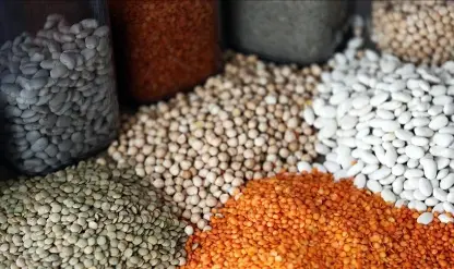 Hububat rekoltesinde gelecek aylardaki yağışlar belirleyici olacak Hububat rekoltesinde gelecek aylardaki yağışlar belirleyici olacak