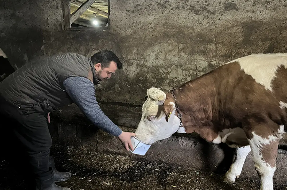 Devlet desteği ile kurdu, ayda 45 ton süt üretiyor Devlet desteği ile kurdu, ayda 45 ton süt üretiyor