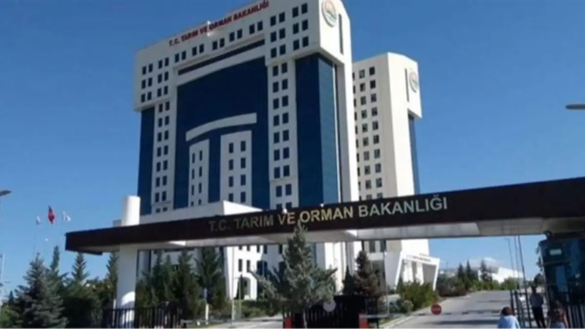 TARIM VE ORMAN BAKANLIĞI PERSONEL ALIMI 2025: Tarım ve Orman Bakanlığı personel alımı başvuru şartları TARIM VE ORMAN BAKANLIĞI PERSONEL ALIMI 2025: Tarım ve Orman Bakanlığı personel alımı başvuru şartları