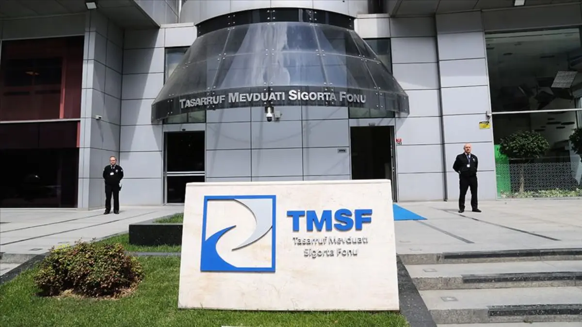 TMSF, 2 enerji şirketindeki paylarını satışa çıkardı TMSF, 2 enerji şirketindeki paylarını satışa çıkardı