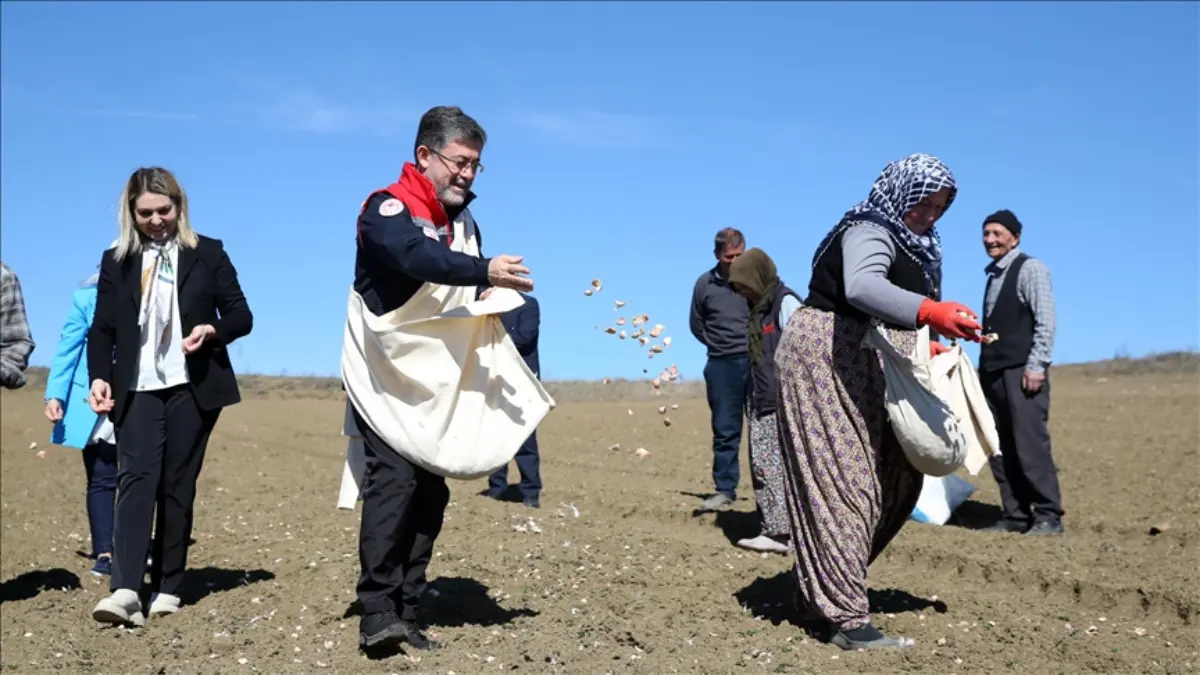 Tarım ve Orman Bakanı Yumaklı, Kastamonu'da sarımsak ekimine katıldı Tarım ve Orman Bakanı Yumaklı, Kastamonu'da sarımsak ekimine katıldı