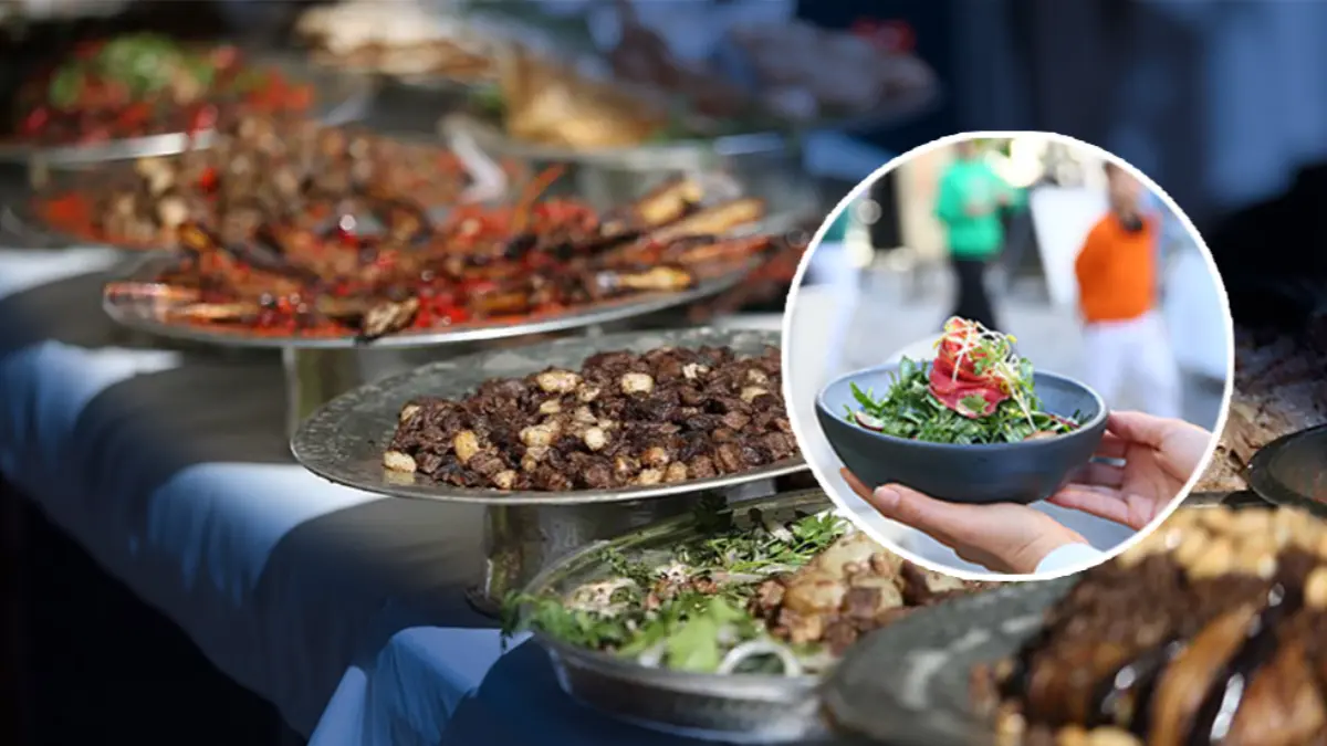 Avrupa’dan Türkiye’ye gastronomi turu için geliyorlar Avrupa’dan Türkiye’ye gastronomi turu için geliyorlar