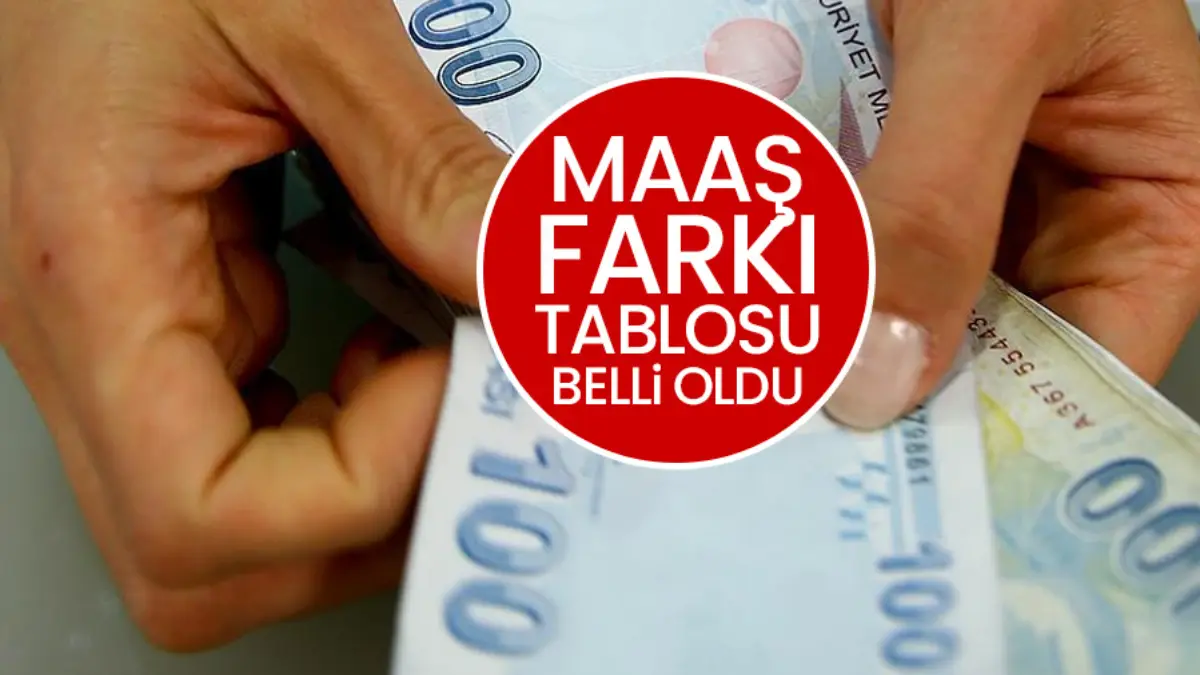 EMEKLİYE ZAM SON DAKİKA: 1,7 milyon emekliye bin 969 TL maaş farkı! İşte Şubat 2025 emekli maaşları hesabı EMEKLİYE ZAM SON DAKİKA: 1,7 milyon emekliye bin 969 TL maaş farkı! İşte Şubat 2025 emekli maaşları hesabı