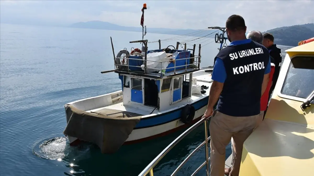 Tarım ve Orman Bakanlığı'ndan sıkı denetim: Yasa dışı avcılığa geçit yok Tarım ve Orman Bakanlığı'ndan sıkı denetim: Yasa dışı avcılığa geçit yok