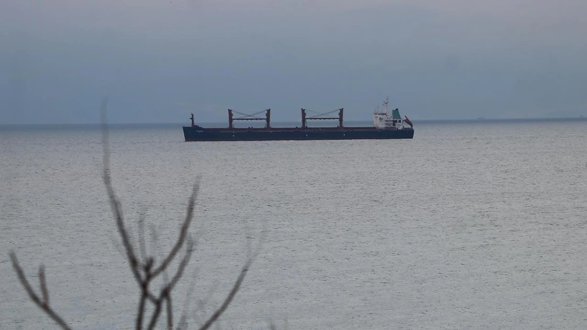 Türk sahipli deniz ticaret filosu dünyada ilk 10'a yürüyor Türk sahipli deniz ticaret filosu dünyada ilk 10'a yürüyor