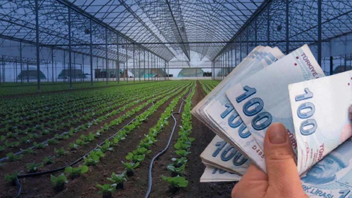 10,2 milyar lira hibe desteği verilecek: Bakan Yumaklı detaylarını açıkladı 10,2 milyar lira hibe desteği verilecek: Bakan Yumaklı detaylarını açıkladı
