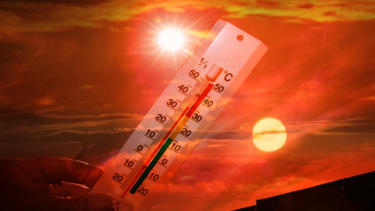 2025 küresel ısı rekoru alarmı: WMO’ya göre bu yıl kayıtlardaki en sıcak ikinci veya üçüncü yıl olacak 2025 küresel ısı rekoru alarmı: WMO’ya göre bu yıl kayıtlardaki en sıcak ikinci veya üçüncü yıl olacak