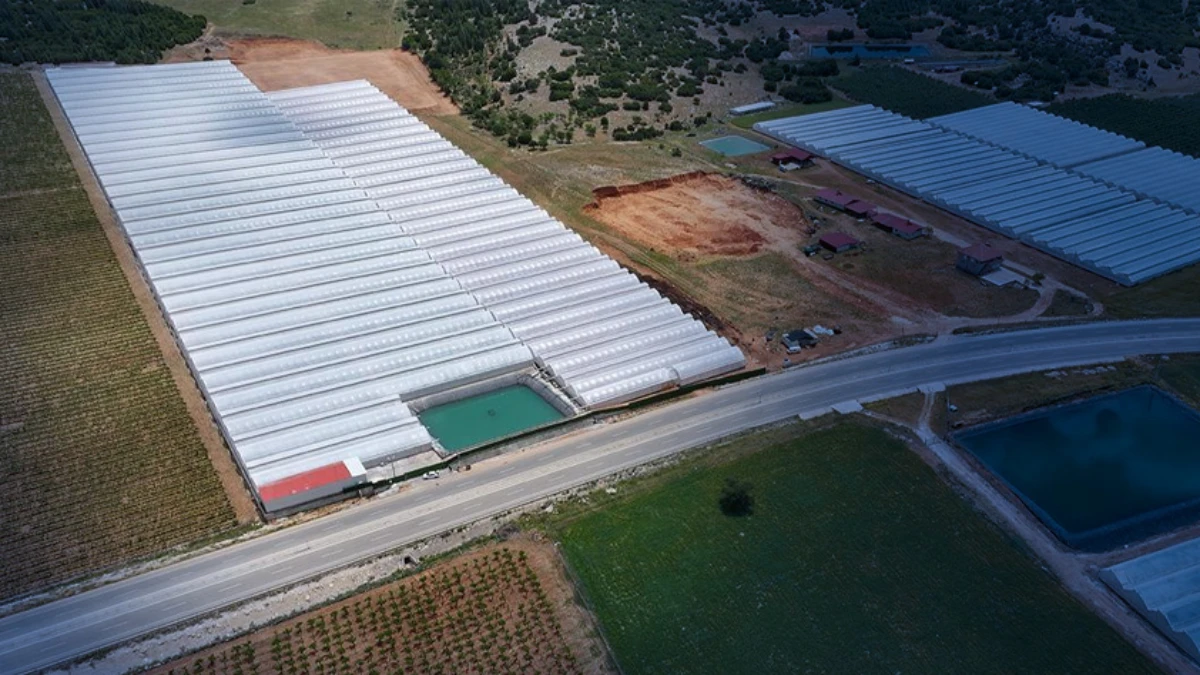 81 ile yaygınlaştırıldı: Kırsal Kalkınmaya 35 milyon euroluk destek 81 ile yaygınlaştırıldı: Kırsal Kalkınmaya 35 milyon euroluk destek