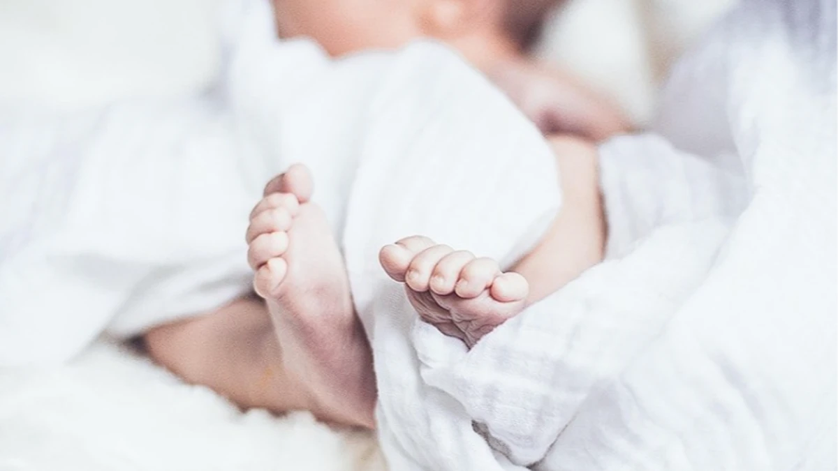 Aile ve Gençlik Fonu meyvesini verdi: 6 bine yakın bebek dünyaya geldi Aile ve Gençlik Fonu meyvesini verdi: 6 bine yakın bebek dünyaya geldi
