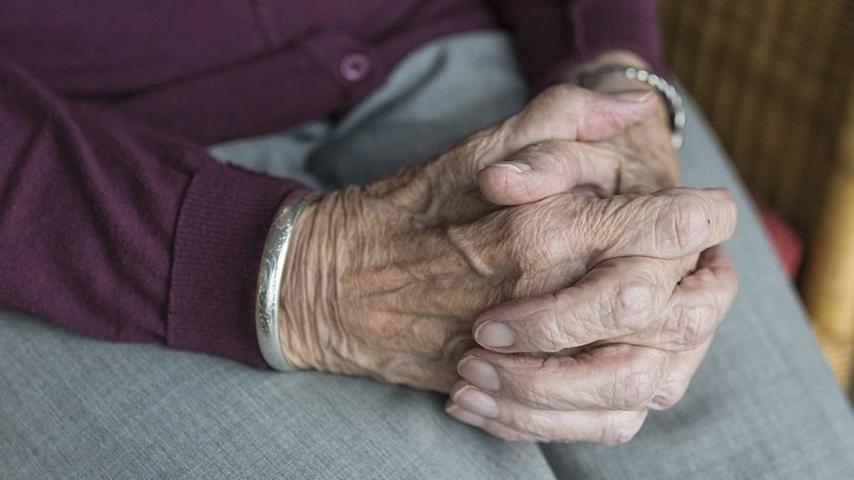 Alman iş gücü piyasasında demografi alarmı Alman iş gücü piyasasında demografi alarmı