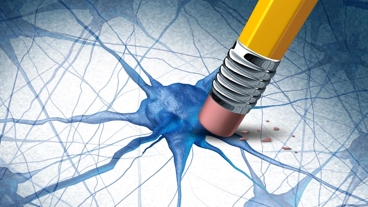 Alzheimer ile mücadelede yeni strateji: Doğal bileşik hafızayı onarıyor