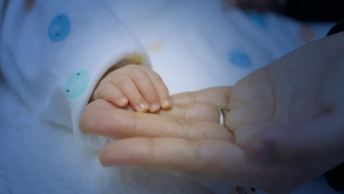 Annelerin izni 24 haftaya çıkarıldı: 5 soruda yeni düzenleme Annelerin izni 24 haftaya çıkarıldı: 5 soruda yeni düzenleme
