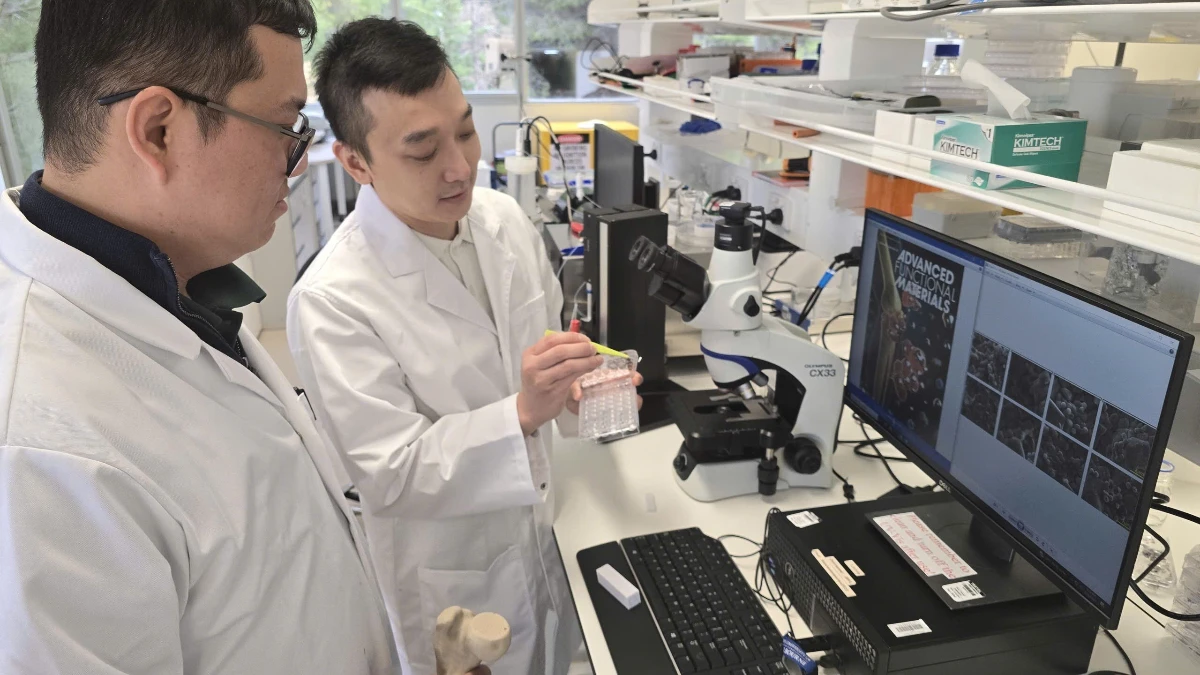 Antibiyotiksiz kemik onarımı: Nanopartiküllerle çift etkili implant Antibiyotiksiz kemik onarımı: Nanopartiküllerle çift etkili implant