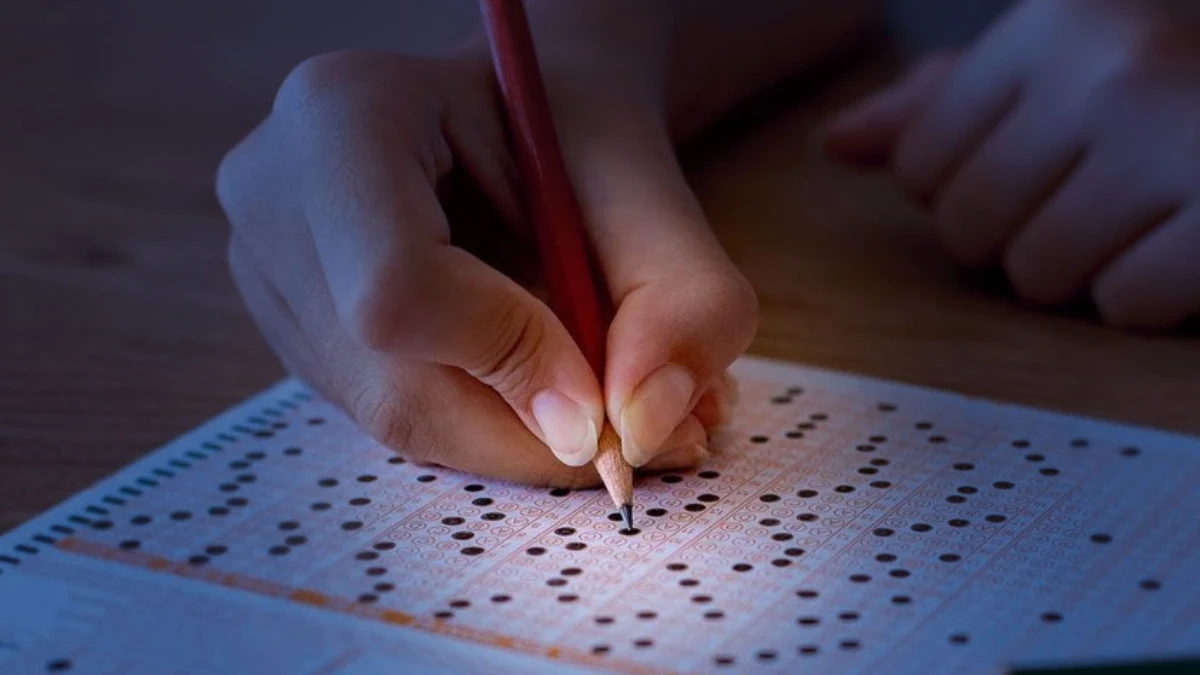 AÖF sınav takvimi 2025-2026! Vize ve finaller ne zaman? AÖF sınav takvimi 2025-2026! Vize ve finaller ne zaman?