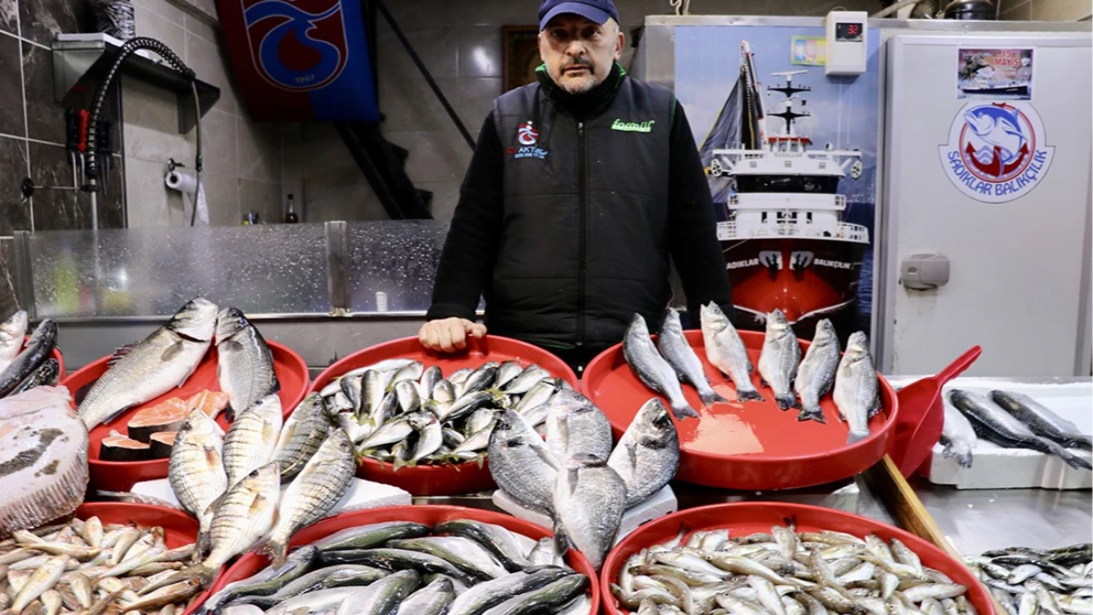 Av sezonu bitti! Tezgahları mezgit ve olta istavriti süsledi Av sezonu bitti! Tezgahları mezgit ve olta istavriti süsledi