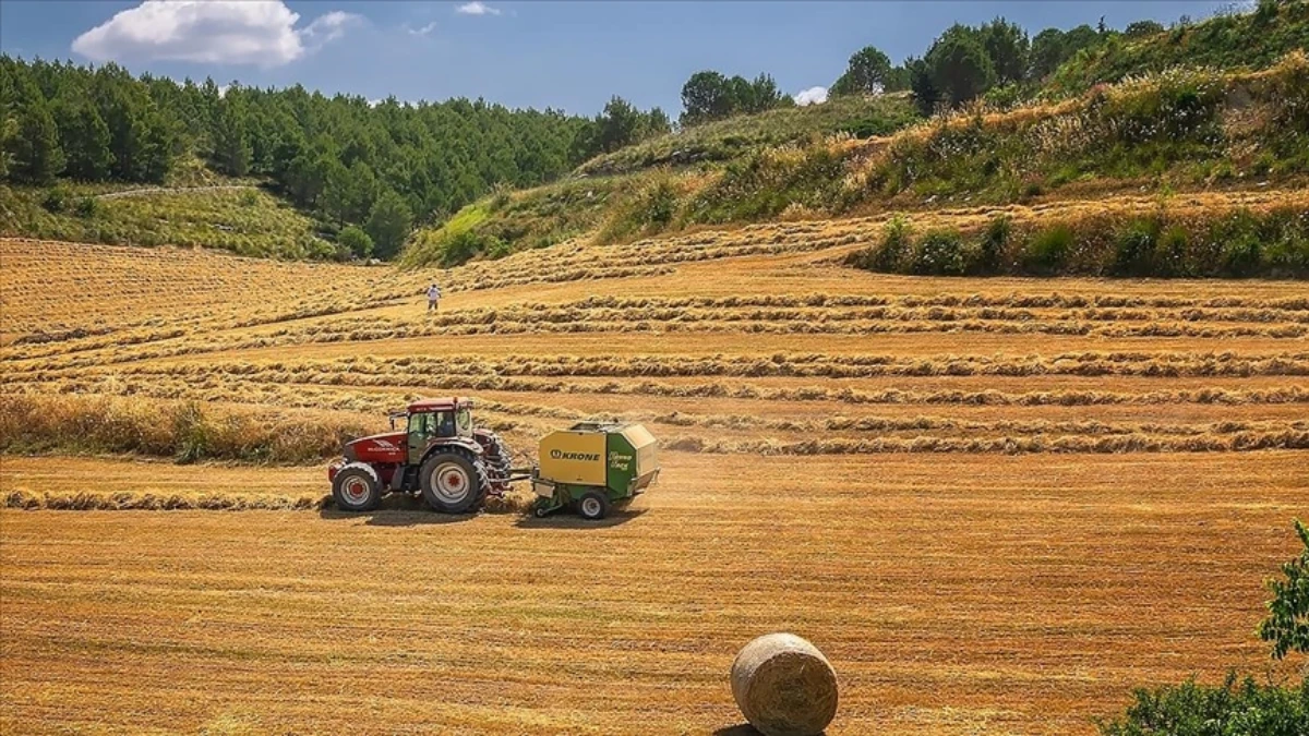 Avrupa'nın en büyük tarım-gıda alıcısı belli oldu Avrupa'nın en büyük tarım-gıda alıcısı belli oldu