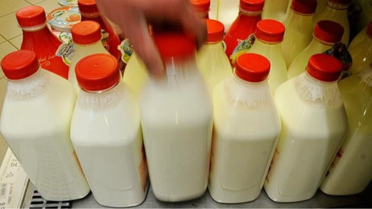 Ayran, kefir ve yoğurt üretiminde 4 aylık rekor Ayran, kefir ve yoğurt üretiminde 4 aylık rekor