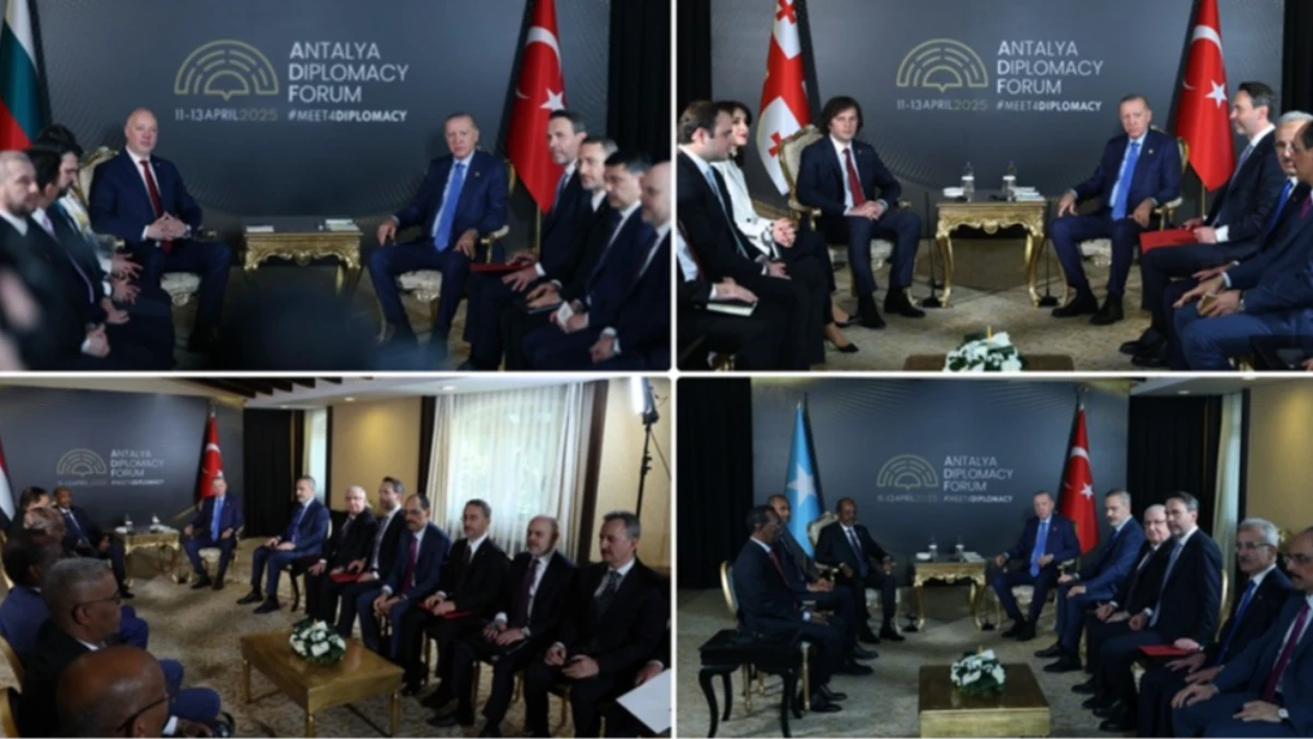 Bakan Bayraktar, ADF'de Bulgaristan, Sudan, Gürcistan ve Somali ile yatırım fırsatlarını değerlendirdi Bakan Bayraktar, ADF'de Bulgaristan, Sudan, Gürcistan ve Somali ile yatırım fırsatlarını değerlendirdi