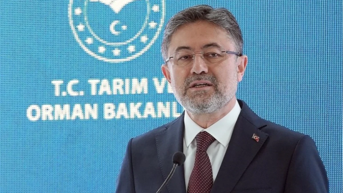 Bakan Yumaklı açıkladı: TARSİM ekipleri Antalya’da hasar tespitini sürdürüyor Bakan Yumaklı açıkladı: TARSİM ekipleri Antalya’da hasar tespitini sürdürüyor