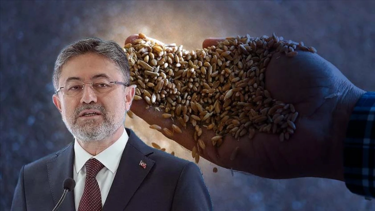Bakan Yumaklı açıkladı: Türkiye tohumda dünyada ilk 10'da Bakan Yumaklı açıkladı: Türkiye tohumda dünyada ilk 10'da