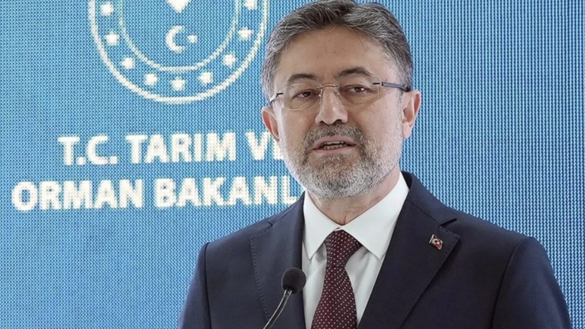Bakan Yumaklı: Antalya’daki hasar tespit çalışmaları aralıksız sürüyor Bakan Yumaklı: Antalya’daki hasar tespit çalışmaları aralıksız sürüyor