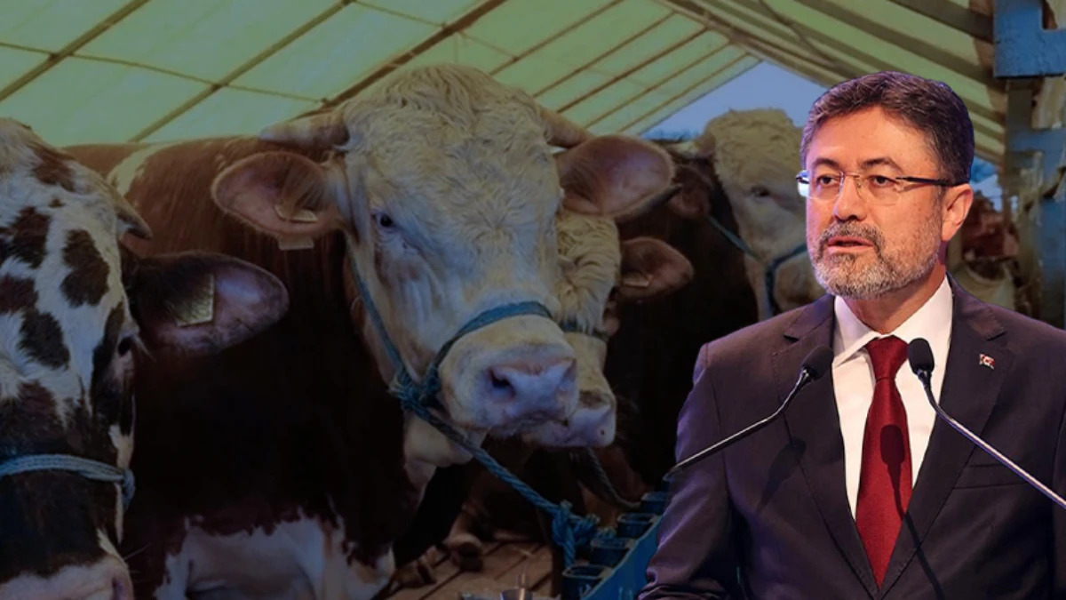 Bakan Yumaklı'dan kurban fiyatları açıklaması: Tüm tedbirleri aldık! Bakan Yumaklı'dan kurban fiyatları açıklaması: Tüm tedbirleri aldık!