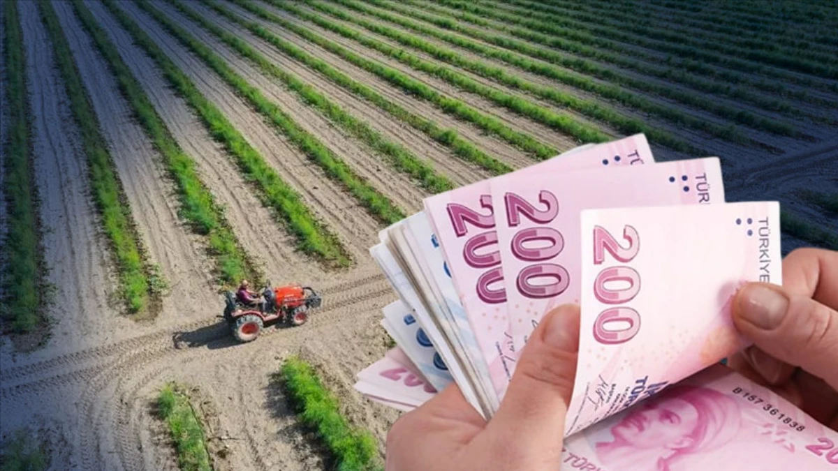 Bitkisel üretim destek ödemesi için yeni detaylar! 2025-2027 döneminde uygulanacak Bitkisel üretim destek ödemesi için yeni detaylar! 2025-2027 döneminde uygulanacak