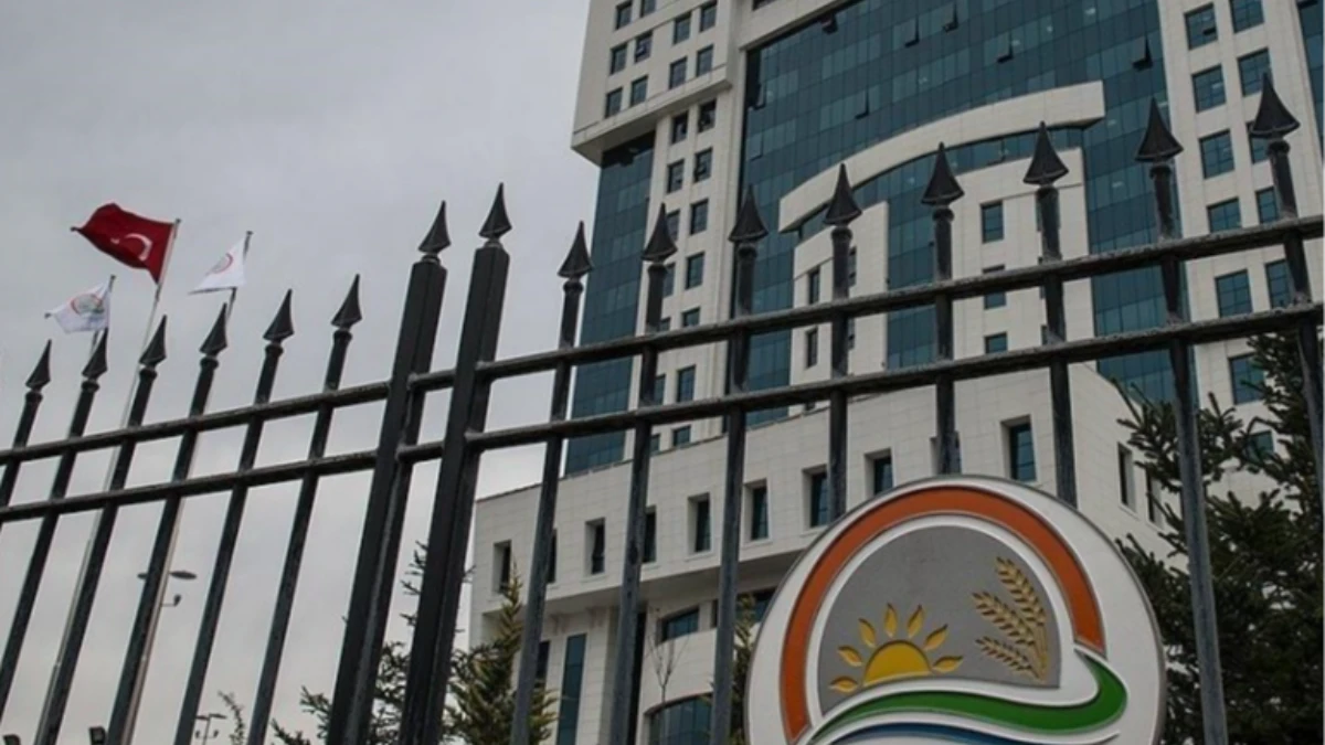 Biyolojik çeşitliliği tahrip edenlere ağır yaptırım: Cezalar 1 Ocak 2026’dan itibaren artıyor Biyolojik çeşitliliği tahrip edenlere ağır yaptırım: Cezalar 1 Ocak 2026’dan itibaren artıyor