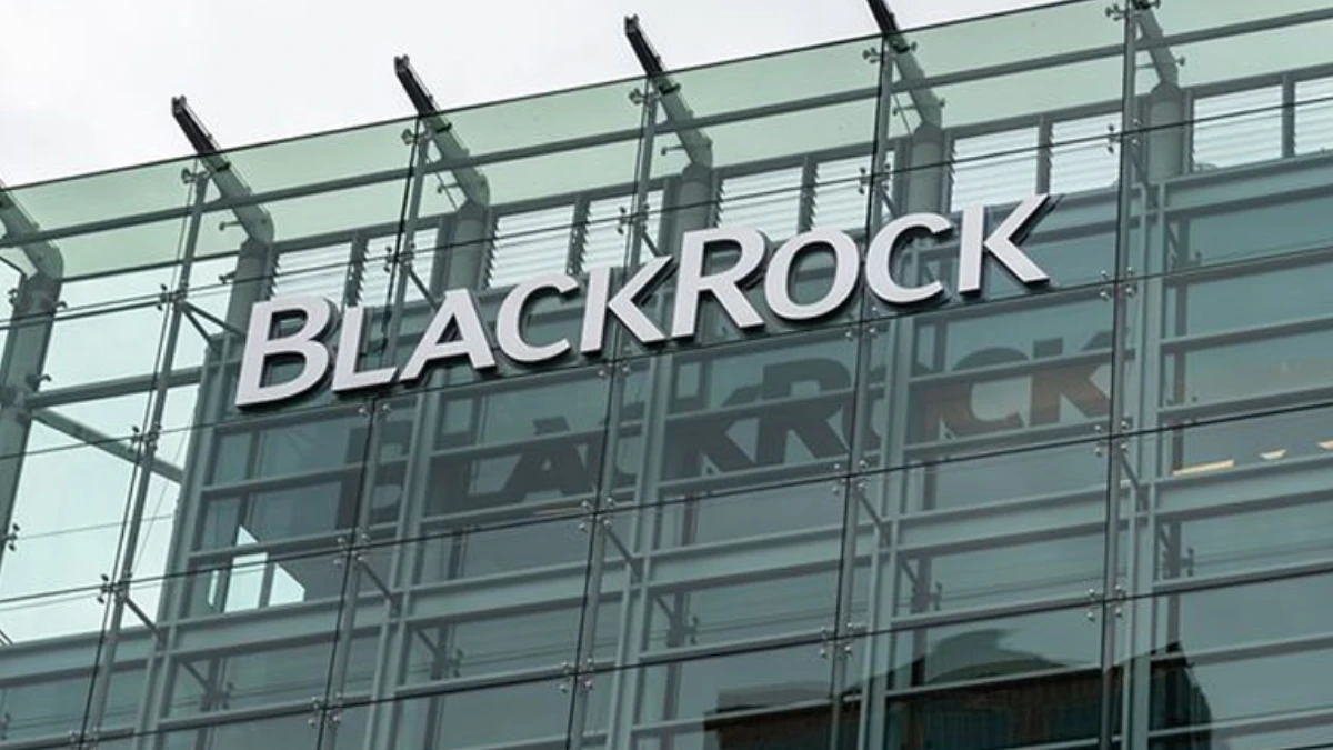 BlackRock uyardı: Tahviller güvenli liman özelliğini yitiriyor BlackRock uyardı: Tahviller güvenli liman özelliğini yitiriyor