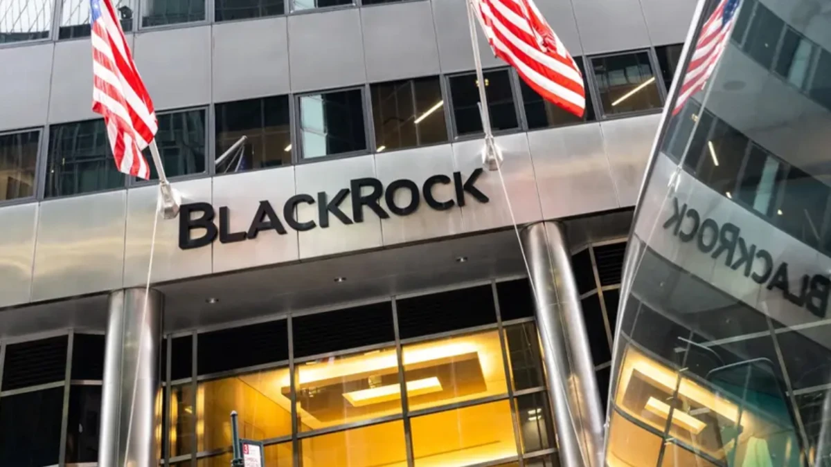BlackRock’tan dikkat çeken adım: En iyi fonlardan birinin yüzde 10’unu Türk hisselerine ayırdı BlackRock’tan dikkat çeken adım: En iyi fonlardan birinin yüzde 10’unu Türk hisselerine ayırdı