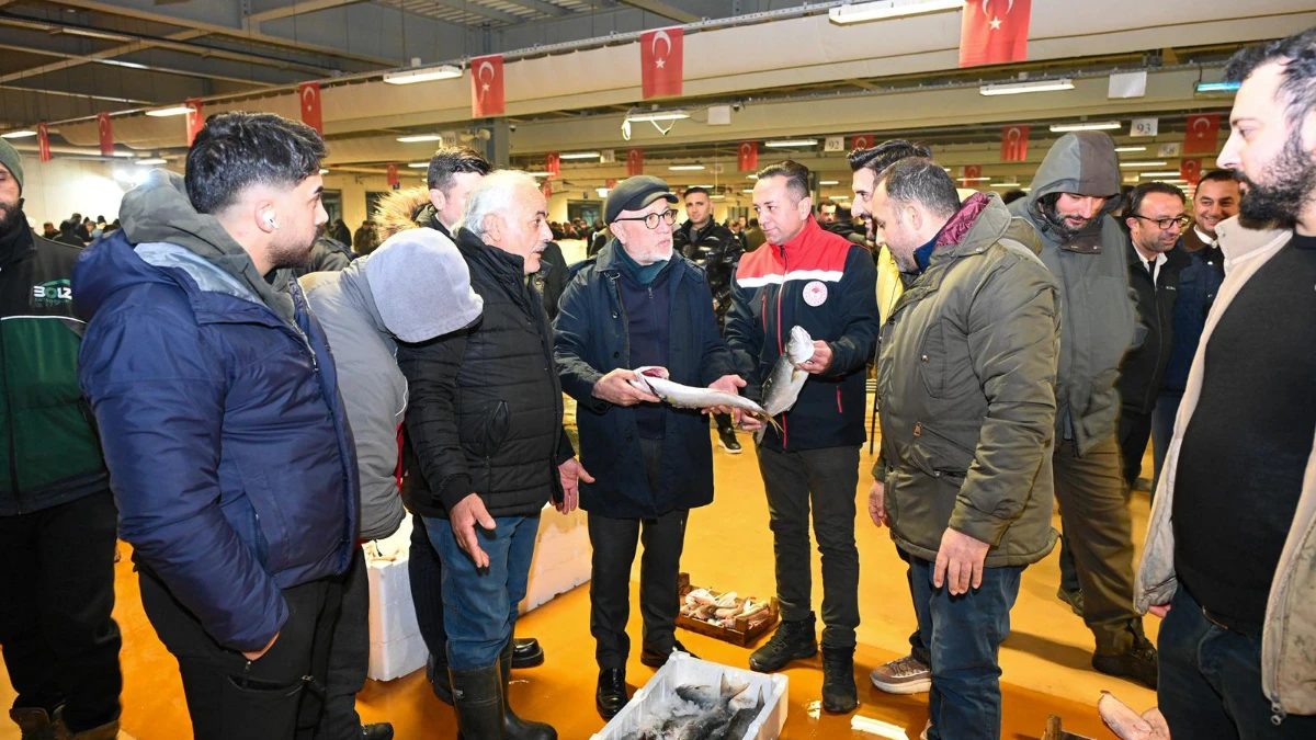Boğaziçi Lüferi için balık haline ziyaret Boğaziçi Lüferi için balık haline ziyaret