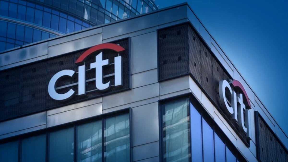 Citi'den yapay zeka değerlendirmesi: Hisseler pahalı ama balon yok Citi'den yapay zeka değerlendirmesi: Hisseler pahalı ama balon yok