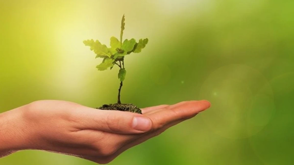 COP30’da yeşil sanayileşme öne çıktı: Türkiye dönüşüm sürecinde kritik rol üstleniyor COP30’da yeşil sanayileşme öne çıktı: Türkiye dönüşüm sürecinde kritik rol üstleniyor
