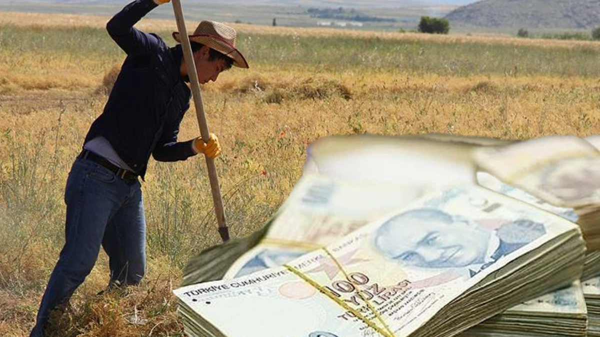 Destek ödemesi bugün yapılacak: Çiftçilere 476 milyon 738 bin lira Destek ödemesi bugün yapılacak: Çiftçilere 476 milyon 738 bin lira