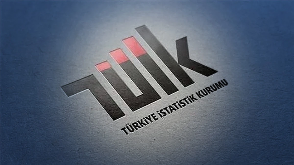 Dış ticaret endeksleri güncellendi: TÜİK yeni serileri yayımlayacak Dış ticaret endeksleri güncellendi: TÜİK yeni serileri yayımlayacak