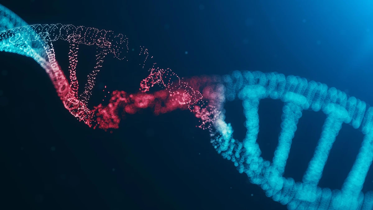 DNA onarımını engellemeden gözlemleyen yeni sensör geliştirildi DNA onarımını engellemeden gözlemleyen yeni sensör geliştirildi