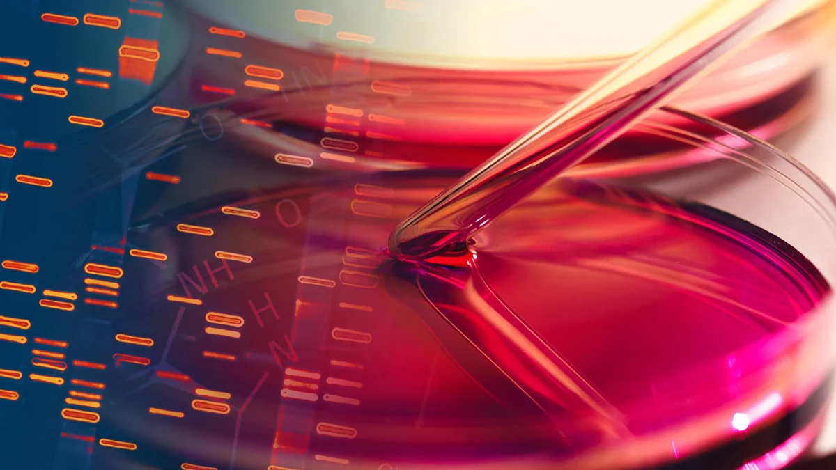 DNA ve su kullanarak 3B nanoyapılar üretildi DNA ve su kullanarak 3B nanoyapılar üretildi