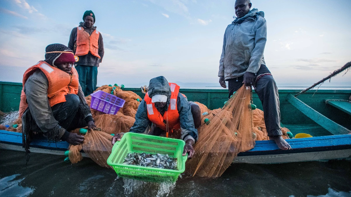 Doğu Afrika’nın büyüyen pazarı Kenya’da yeni fırsatlar