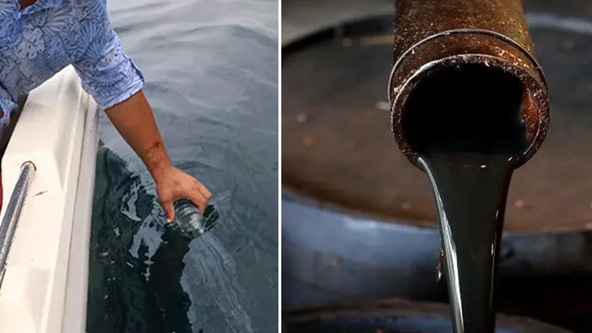 Doğu Karadeniz'de petrol heyecanı: Olumlu sonuçlar çıktı