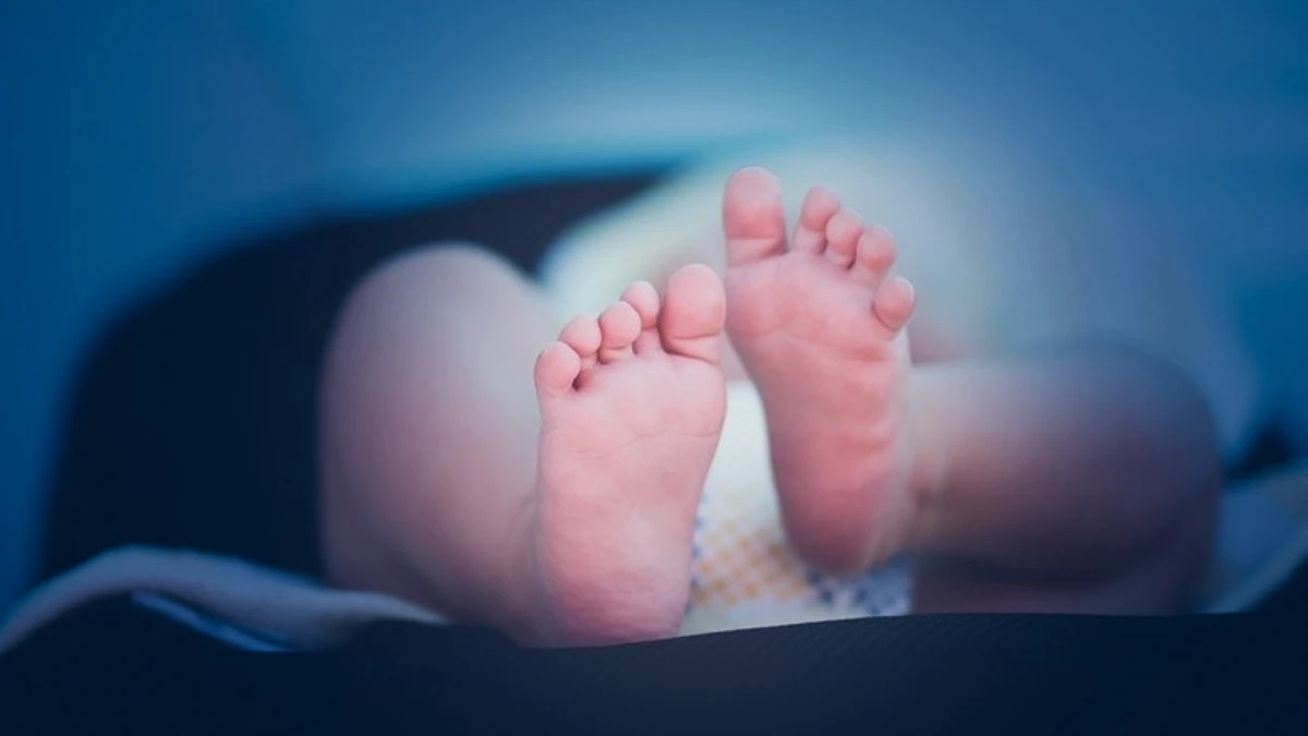 Doğum izni 24 haftaya çıkıyor: Yeni düzenleme Meclis yolunda