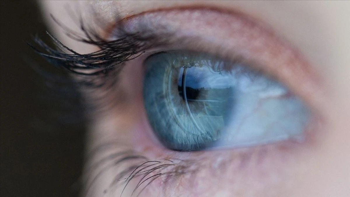 ‘Encelto’ ile retina hastalığında önemli gelişme ‘Encelto’ ile retina hastalığında önemli gelişme
