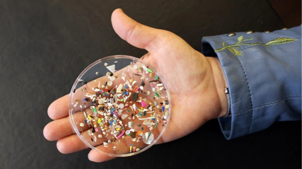 Evde bir günde 68 bin mikroplastik parçası soluyoruz Evde bir günde 68 bin mikroplastik parçası soluyoruz