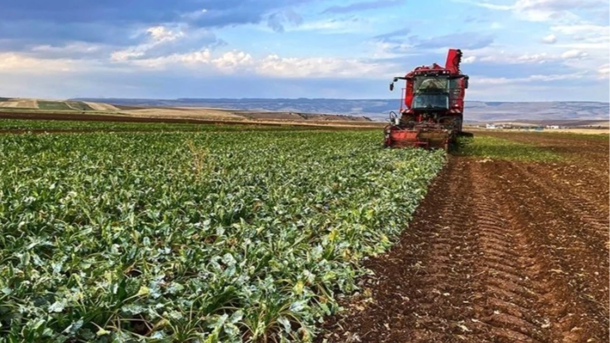Gençlere tarımda 'Dönüş' teşviki: Bedelsiz arazi ve ucuz kredi yolda Gençlere tarımda 'Dönüş' teşviki: Bedelsiz arazi ve ucuz kredi yolda