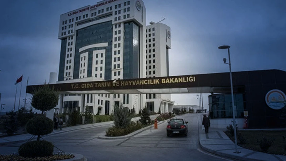 Gıda güvenliği için ithalatta yeni dönem başlıyor Gıda güvenliği için ithalatta yeni dönem başlıyor
