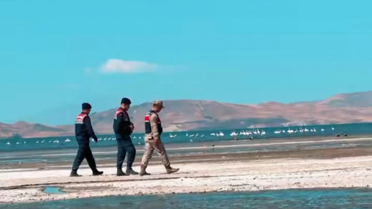 Göldeki flamingoları korumak için jandarma geldi Göldeki flamingoları korumak için jandarma geldi