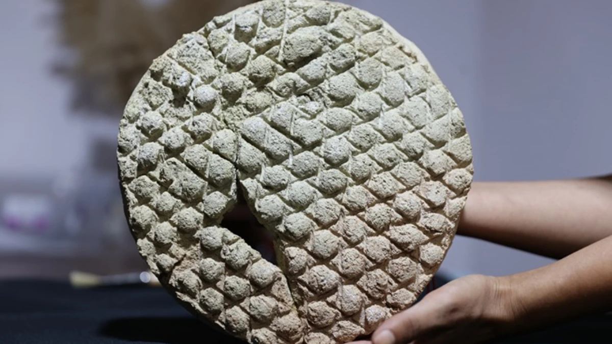 Harran'da baklava dilimi desenli tarihi ekmek kalıbı bulundu Harran'da baklava dilimi desenli tarihi ekmek kalıbı bulundu