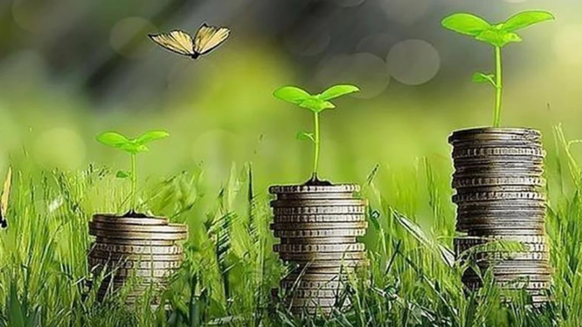 İklim finansmanında yıllık 1,3 trilyon dolar hedefi: UNFCCC 'Ulaşılabilir ve gerekli' dedi İklim finansmanında yıllık 1,3 trilyon dolar hedefi: UNFCCC 'Ulaşılabilir ve gerekli' dedi