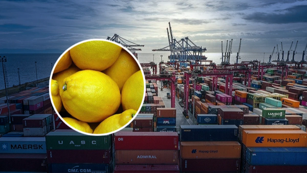 Irak, Türk limonunda zirveye yerleşti Irak, Türk limonunda zirveye yerleşti